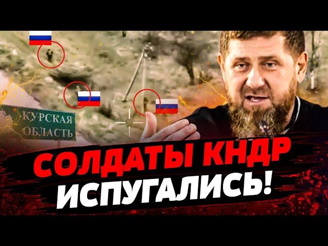  СЕЙЧАС! КНДРовцы РАССТРЕЛЯЛИ КАДЫРОВЦЕВ! ШОК-ВИДЕО! Колоссальные ПОТЕРИ! Актуальные новости