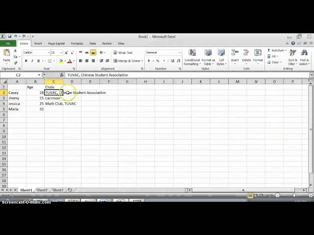 Basics of Making a Dataset in Excel