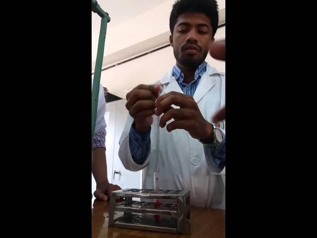 Sucking blood at physiology lab and he drank it. (Sadman & Fuad) ~SSMC