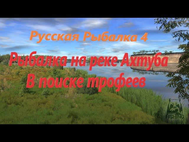 🟠Рыболовные приключения на реке Ахтуба 🟠Рулетка🟠Русская Рыбалка 4🟠 #johniekartman #rr4 #stream