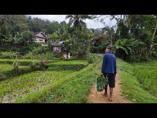 Kampung Unik Saat Kemarau Air Malah Melimpah, Suasana Pedesaan