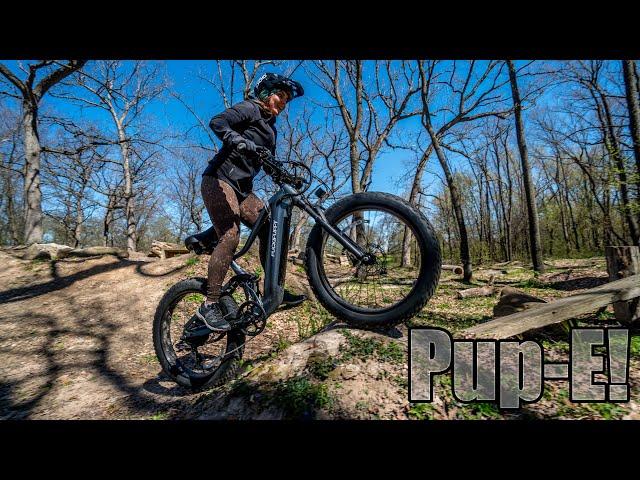 Another Fast Pup! Puckipuppy Boxer EBIKE Test