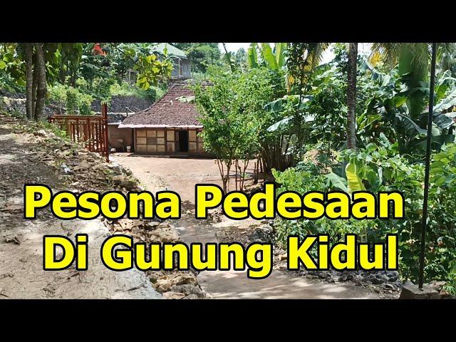 Suasana Pedesaan Yang Asri Dan Bikin Betah Di Purwosari Gunung Kidul