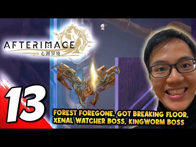 #13 AFTERIMAGE Forest Foregone, Got Breaking Floor, Bosses: Xenal Watcher, Kingworm