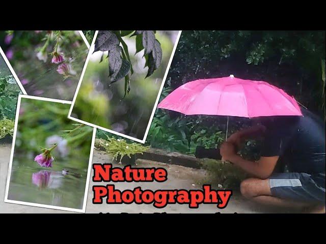 Nature Photography In Rain . Use My Nikon D5300 And 70-300mm Lens. #photography #janaphotography