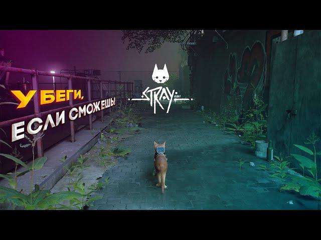 Убегаем от зурков в тупике - Прохождение Stray [#4]