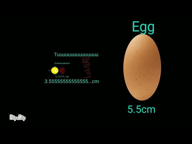 Size Comparison Part3