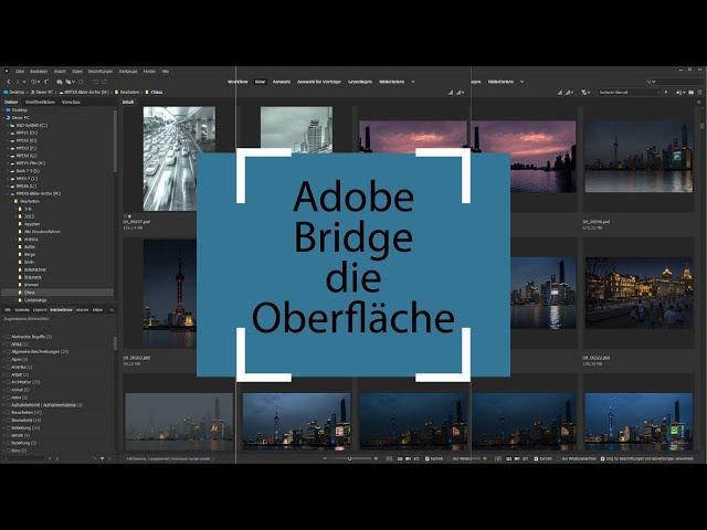 Adobe Bridge 2023, Grundkurs für Einsteiger. Das Interface.