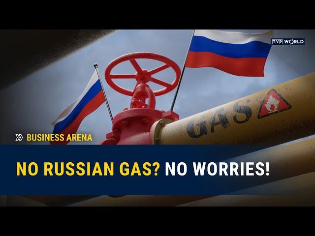 No Russian gas? No worries! | Business Arena