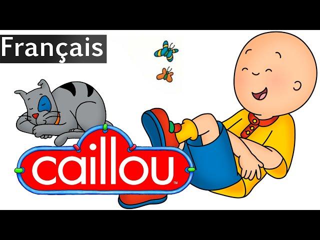 Caillou FRANÇAIS - Caillou Pour 4.5 Heures! | conte pour enfant | Caillou en Français