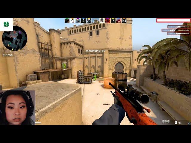 what cheaters see on their screen - csgo legit cheating