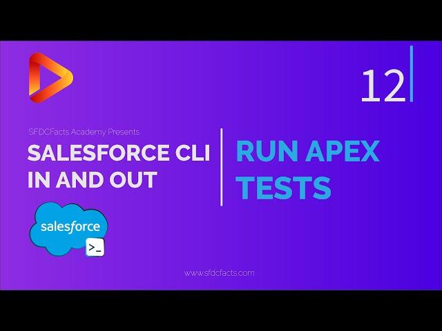 Run Apex Tests in SFDX using Salesforce CLI | SFDX and Salesforce CLI Course