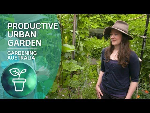 A highly productive small-scale urban garden | Urban Farming | Gardening Australia