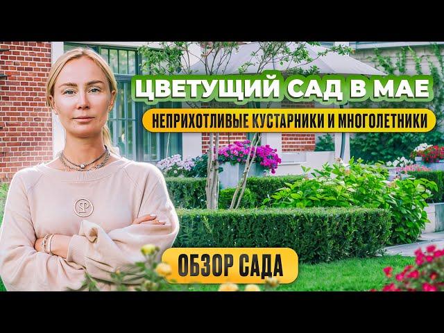 Цветущий сад в мае. Неприхотливые кустарники и многолетники.