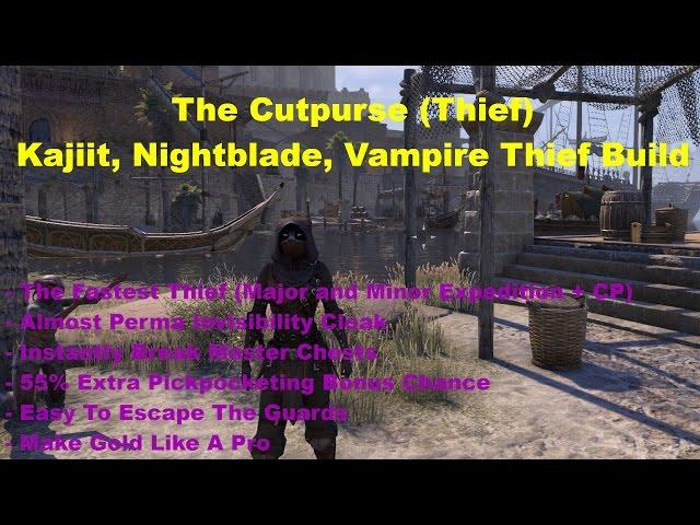 ESO Builds For Fun: "The Cutpurse" Nightblade, Khajiit Thief Build!