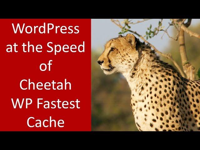 How to use WP Fastest Cache for WordPress Optimization