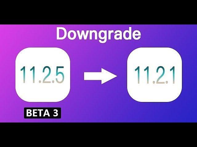 Downgrade iOS 11.2.5 Beta 3 to iOS 11.2.1 in 1 Click. No Data Loss！