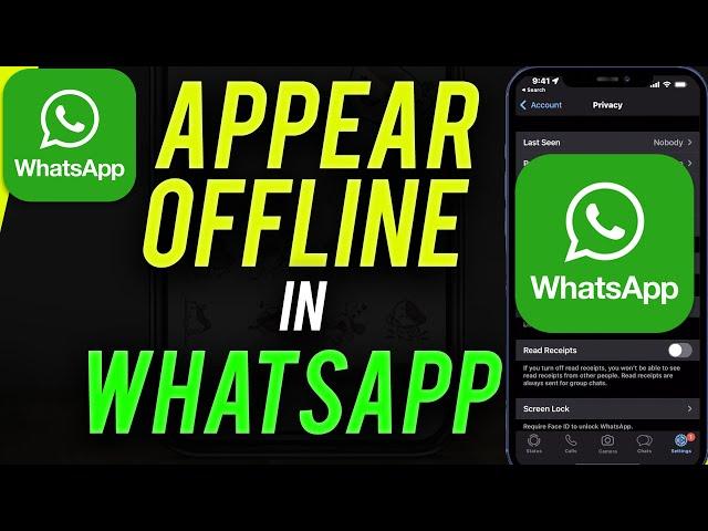 How To Appear Offline On WhatsApp