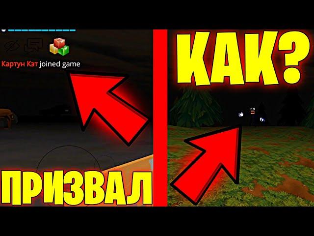 Я СМОГ ПРИЗВАТЬ КАРТУН КЭТА! КАК ПРИЗВАТЬ КАРТУН КЭТА В ЧИКЕН ГАН - CHICKEN GUN