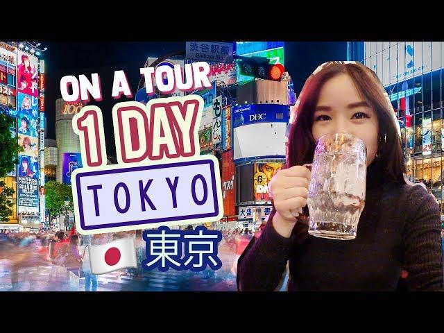 EXPERIENCE TOKYO in 1 DAY ON A TOUR