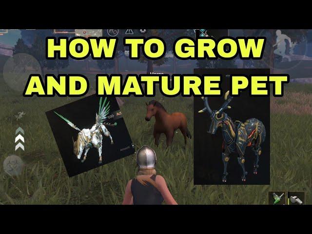 HOW TO GROW AND MATURE PET | Last Island Of Survival