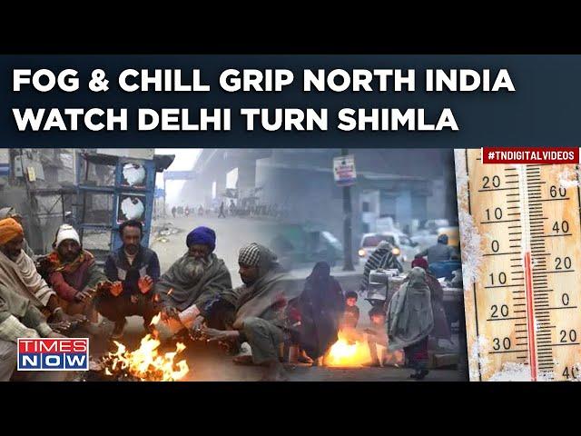 Cold Wave Hits North India: Temperatures Plummet, Dense Fog Engulfs Delhi| IMD Predicts More Chill?