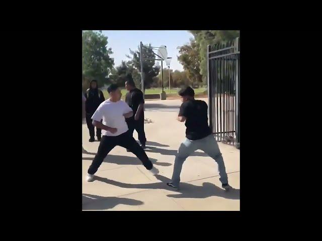 BEST FIGHTS COMPILATION | 2024