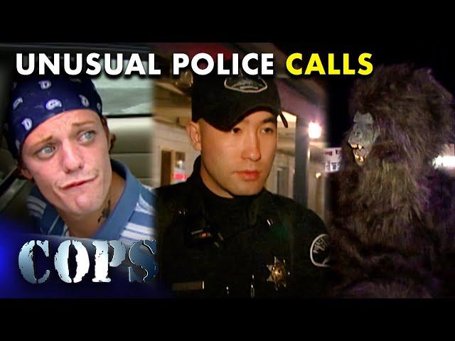  Police Responses: From Motel Disturbance to Assisting a Gorilla | FULL EPISODES | Cops TV Show
