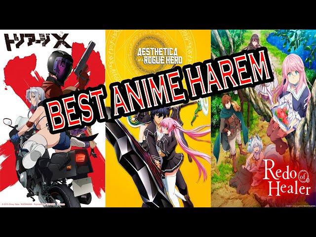 20 Best HaremAnime Series You Must Watch