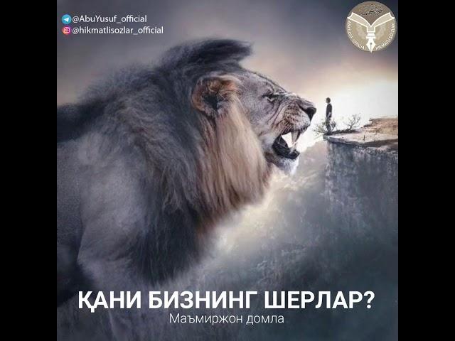 QANI BIZNING SHERLAR?    ҚАНИ БИЗНИНГ ШЕРЛАР?