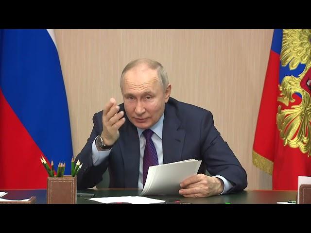 Владимир Путин: Лесная промышленность имеет потенциал для долгосрочного роста