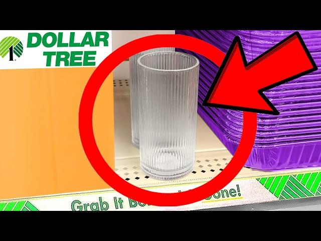 10 Things You SHOULD Be Buying at Dollar Tree in August 2024