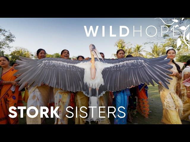 Meet the Army of Women Saving India’s Rarest Stork | WILD HOPE