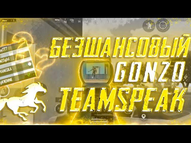 БЕЗШАНСОВЫЙ ТИМСПИК | KONINA POWER TEAM SPEAK | GONZO AKZER KNOWME OLDBOY