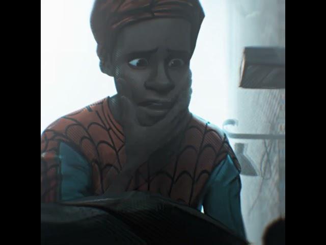 INTO THE SPIDER-VERSE EDIT