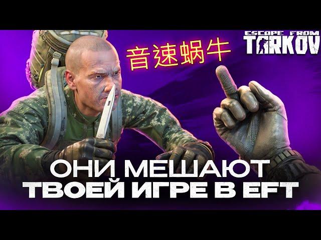 Это главные вонючки в Escape From Tarkov