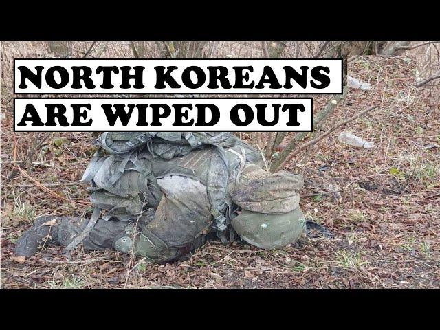 THEY ARE HUNTED: UKRAINIAN SPECIAL FORCES DESTROYS WHOLE NORTH KOREAN PLATOON IN KURSK || 2025