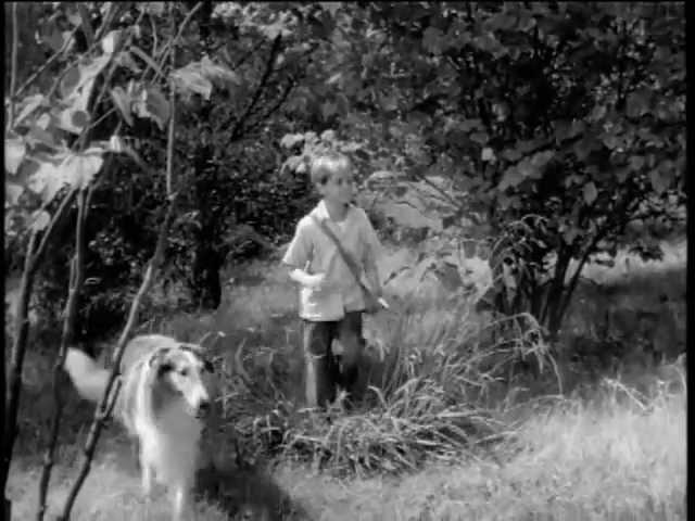 Lassie - The Lion - 14 November 1954 (Preview Clip)