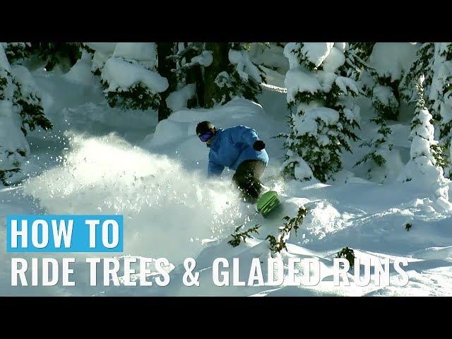 How To Ride Trees & Gladed Runs On A Snowboard