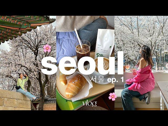 7 days in seoul 