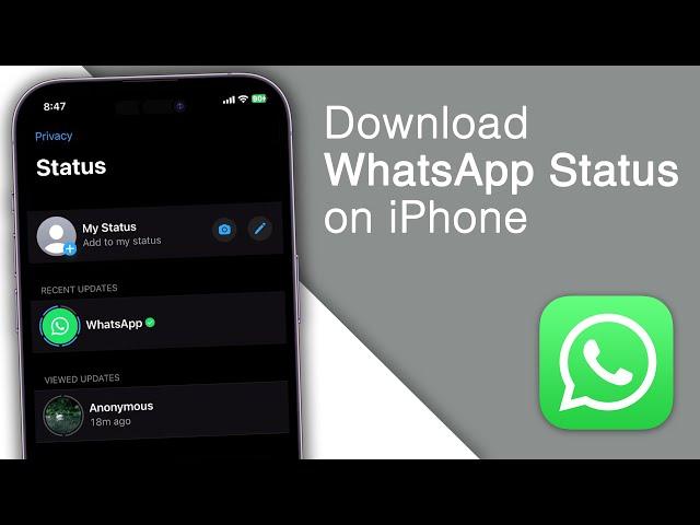 How to Download/Save WhatsApp Status on iPhone! [2023]