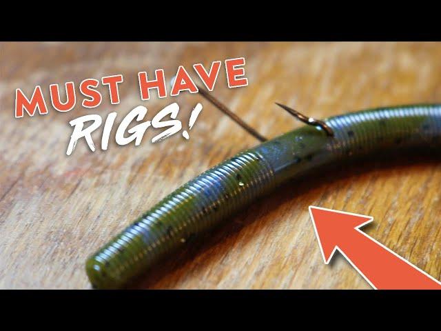 Bass Fishing 101: 5 Bass Fishing Rigs You NEED to KNOW!!