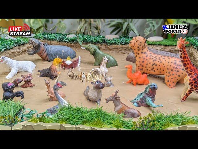 Amazing Animals for Kids to Learn | Wildlife Education & Fun Learning with Muddy Animal Toys