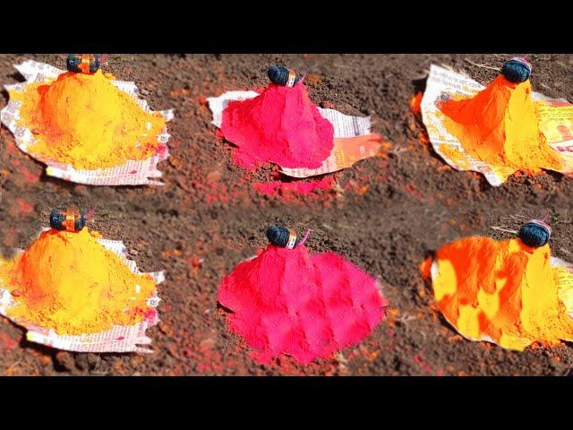 Gulal Vs Sutli - Amezing Holi Experiment | Holi Special Video | Mr Pankaj Dhakad #holi