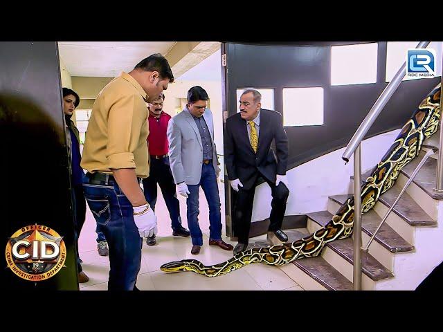 घर के अंदर मिले अजगर को कैसे पड़ेगी CID | CID Latest Episode | Best Of CID