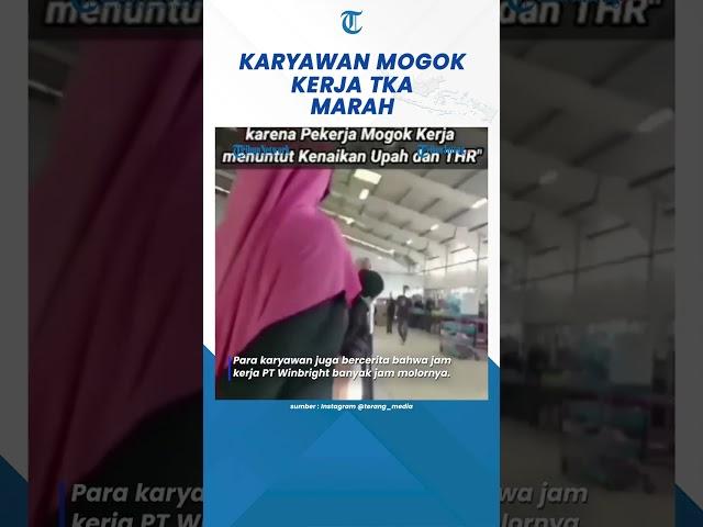 Viral TKA Murka Marahi Karyawan PT Winbright Banten Mogok Kerja #shorts