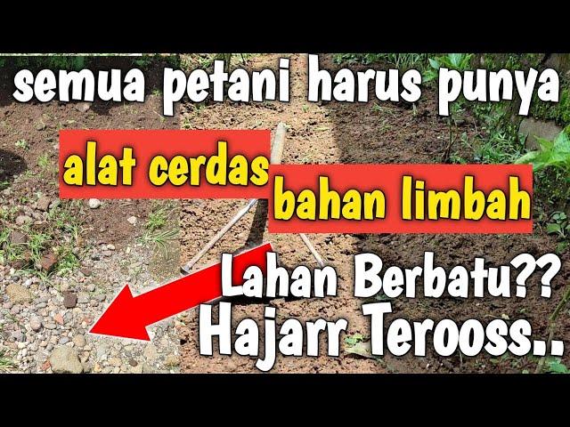 Semua Petani Wajib Tahu.. Cangkul Penyiang Gulma Cocok Di Semua Lahan