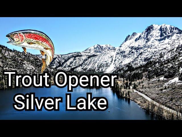 Eastern Sierra Trout Opener | Silver Lake (June Lake Loop) Good Bite