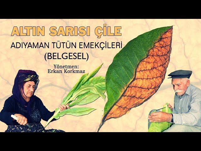 Altın Sarısı Çile - Belgesel  (Adıyaman Tütün Belgeseli)