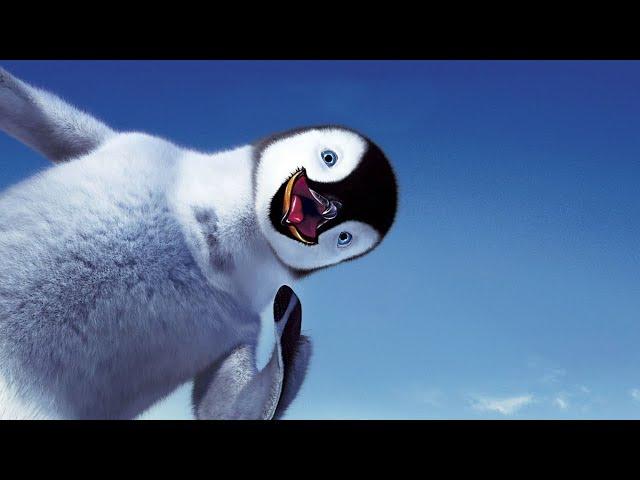 ЖИВОТНЫЕ АНТАРКТИДЫ| |ANIMALS OF ANTARCTICA РАЗВИВАЮЩЕЕ ВИДЕО